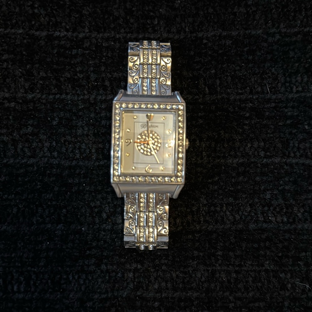 Brighton Watch